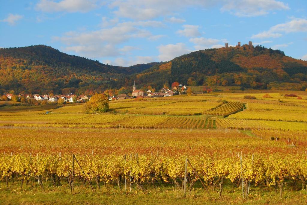 Chambres D'Hotes Gilles Schneider Husseren-les-Chateaux Luaran gambar