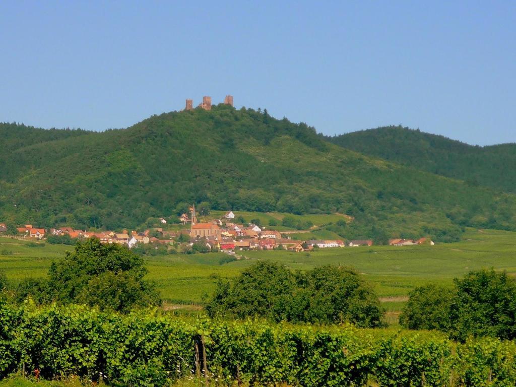 Chambres D'Hotes Gilles Schneider Husseren-les-Chateaux Luaran gambar